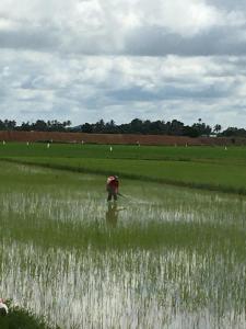 Photo de la galerie de l'établissement Roemah Dahaman, à Jitra