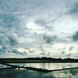 Photo de la galerie de l'établissement Roemah Dahaman, à Jitra