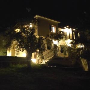 Zahrada ubytování Villa Belian 1