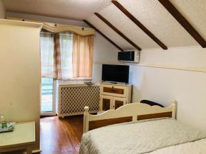 TV a/nebo společenská místnost v ubytování Vila Horia Bradet + 18 fotografií