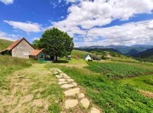 a stone path in a field next to a barn at Suri in Plužine