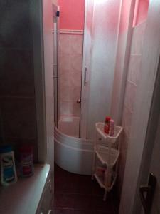 La petite salle de bains est pourvue d'une douche et de toilettes. dans l'établissement Apartman Dunja i Miloš, à Mokra Gora
