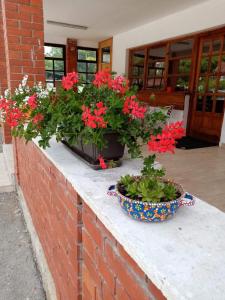 Vrt ispred objekta Apartman Dunja i Miloš