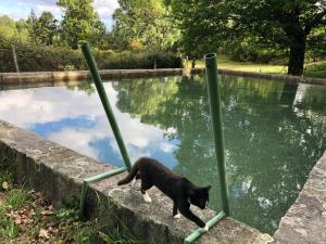 Billede fra billedgalleriet på Quinta das Uchas i São Pedro do Sul