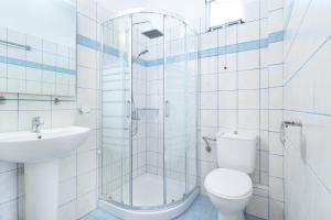 a bathroom with a shower and a toilet and a sink at Apartments Apollonio in Chrysi Ammoudia