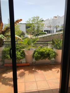 Vonkajšia záhrada v ubytovaní Sunny apartment Sa Boadella big solarium sea view