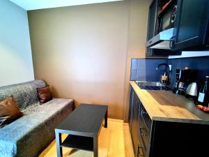Kuchyň nebo kuchyňský kout v ubytování Appart Hotel Relax Spa
