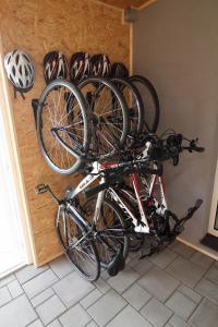 Jazda na bicykli v okolí ubytovania Apartmánový dom Stela