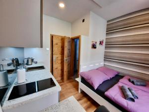 een keuken met een bed en een wastafel in een kamer bij Apartment Silver in Ljubljana