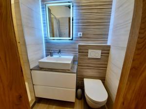 een badkamer met een wastafel en een toilet bij Apartment Silver in Ljubljana
