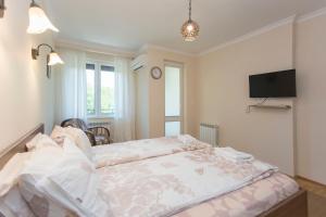 a bedroom with a bed and a tv on the wall at Apartment " Daria Vas" in Sofia