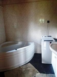 a bathroom with a white tub and a sink at U tří jasanů in Luže