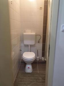 a bathroom with a toilet in a small room at Malasits Apartman in Győr