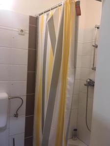 a bathroom with a shower curtain and a toilet at Malasits Apartman in Győr