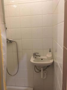 a white bathroom with a sink and a shower at Malasits Apartman in Győr