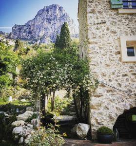 Imagen de la galería de Le Moulin Camoula, en Saint-Jeannet