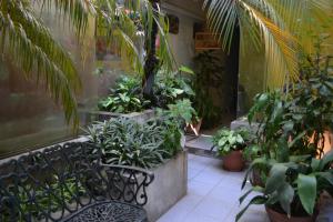 Vrt ispred objekta Hotel Amalfi