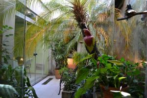 Сад в Hotel Amalfi