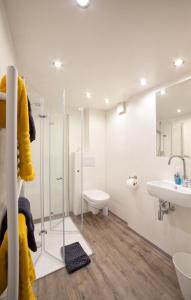 a bathroom with a shower and a sink and a toilet at Beim Schloß Michel in Lauda-Königshofen