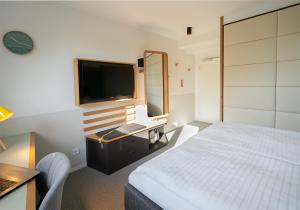 TV a/nebo společenská místnost v ubytování Hotel Am Leinritt