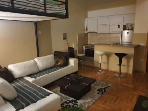 Una sala de estar con un sofá y una cocina. en Stankovic apartman, en Niš