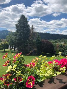 eine Gruppe von Blumen in einem Garten mit einem Baum in der Unterkunft Frühstückspension Eichberger in Pöls