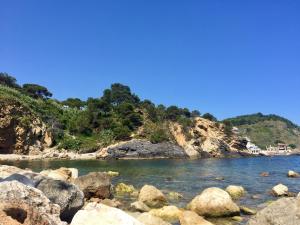 Príroda v okolí apartmánu