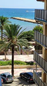 due auto parcheggiate accanto a una palma e all'oceano di Beautiful flat with sea view and sound of the surf a Santa Pola