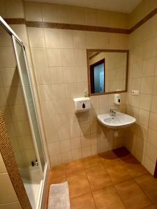 Kúpeľňa v ubytovaní Ametyst Apartments