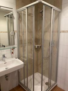 a shower with a glass door next to a sink at Hotel Rosenbusch in Großheubach