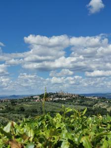 a view of a city from a field with bushes at Hotel Pescille in San Gimignano