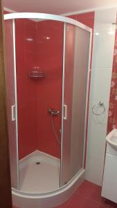 キーウにあるArt-Hotelの赤いタイル張りのバスルーム(シャワー付)