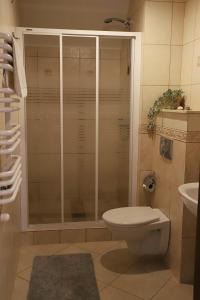 y baño con ducha, aseo y lavamanos. en Apartament Kaszubska Sielanka, en Kartuzy