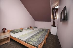 a bedroom with a bed and a tv on the wall at Apartmani Genčić 3 in Kladovo