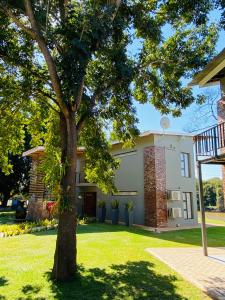 a large tree in front of a house at Letaba Junction Lodge in Letsitele