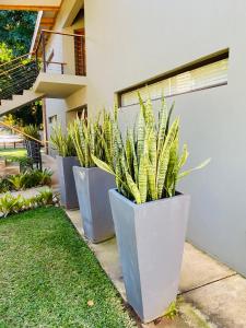 uma fila de vasos de plantas sentadas ao lado de um edifício em Letaba Junction Lodge em Letsitele