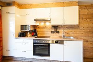 Kuchyň nebo kuchyňský kout v ubytování Gästehaus Falkner Ignaz