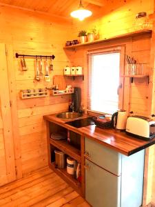 a kitchen with a sink and a counter in a cabin at Wild Atlantic Way Cabin in Ballyheigue