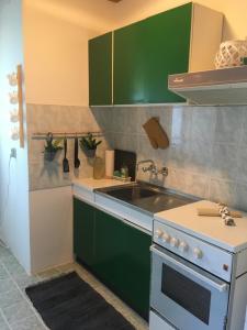 a kitchen with green cabinets and a sink at Village Wine House in Mandičevac