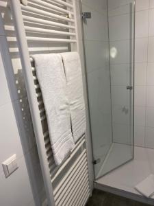 a bathroom with a shower and a white towel at Hotel Capri in Überlingen