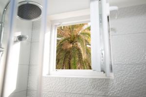 - une fenêtre dans la salle de bains pourvue d'un palmier dans l'établissement Apartman Magi, à Zadar