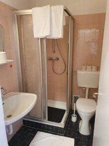 a bathroom with a shower and a toilet and a sink at Pension Waldhof am Stubenbergsee in Stubenberg