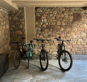 Jízda na kole v ubytování Hostal Rural Sositana nebo okolí