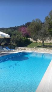 a large blue swimming pool with chairs and trees at Pool Villa Grigoris in Aspiotádes