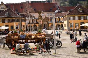Hosté ubytování Ferienwohnung Knoerck Weikersheim
