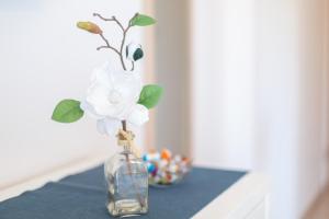 Fotografie z fotogalerie ubytování Apartments Jakic v destinaci Hvar
