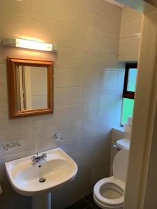 a bathroom with a sink and a toilet at Amber Cottage in Killarney +7 photos
