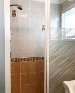 a shower with a glass door in a bathroom at Broadside Chalet Park No 90 in Norwich