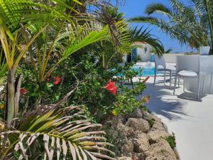 - un patio avec des chaises et des fleurs à côté de la piscine dans l'établissement Villa Adriano, à Sabina Alta
