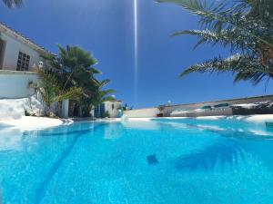 a large swimming pool with blue water and palm trees at Villa Adriano in Sabina Alta